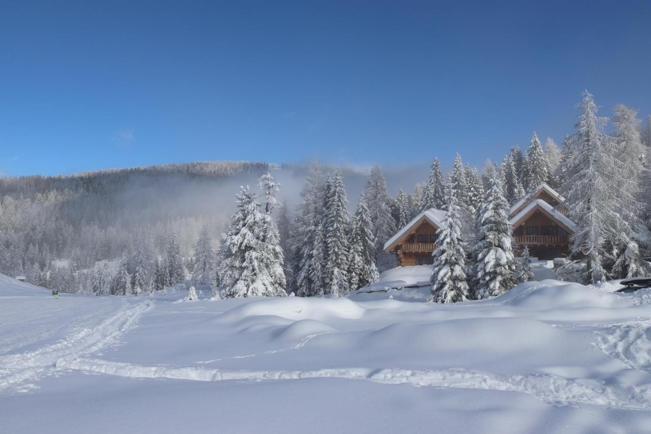 Almzauber Chalets - Haus Enzian Inkl Infrarotliegen Хохриндл Екстериор снимка